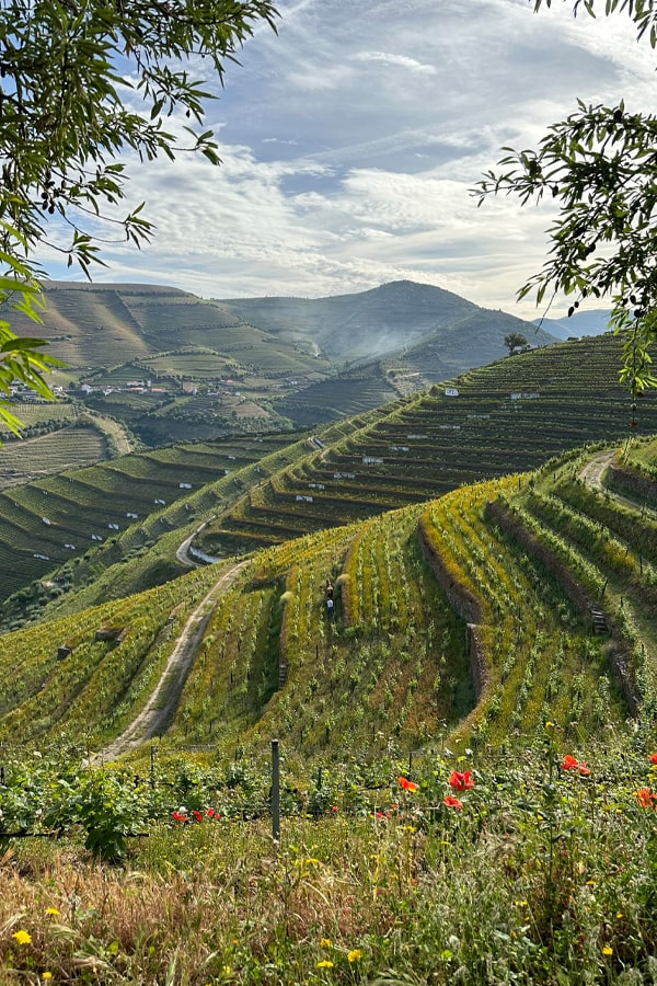 Quinta da Côrte