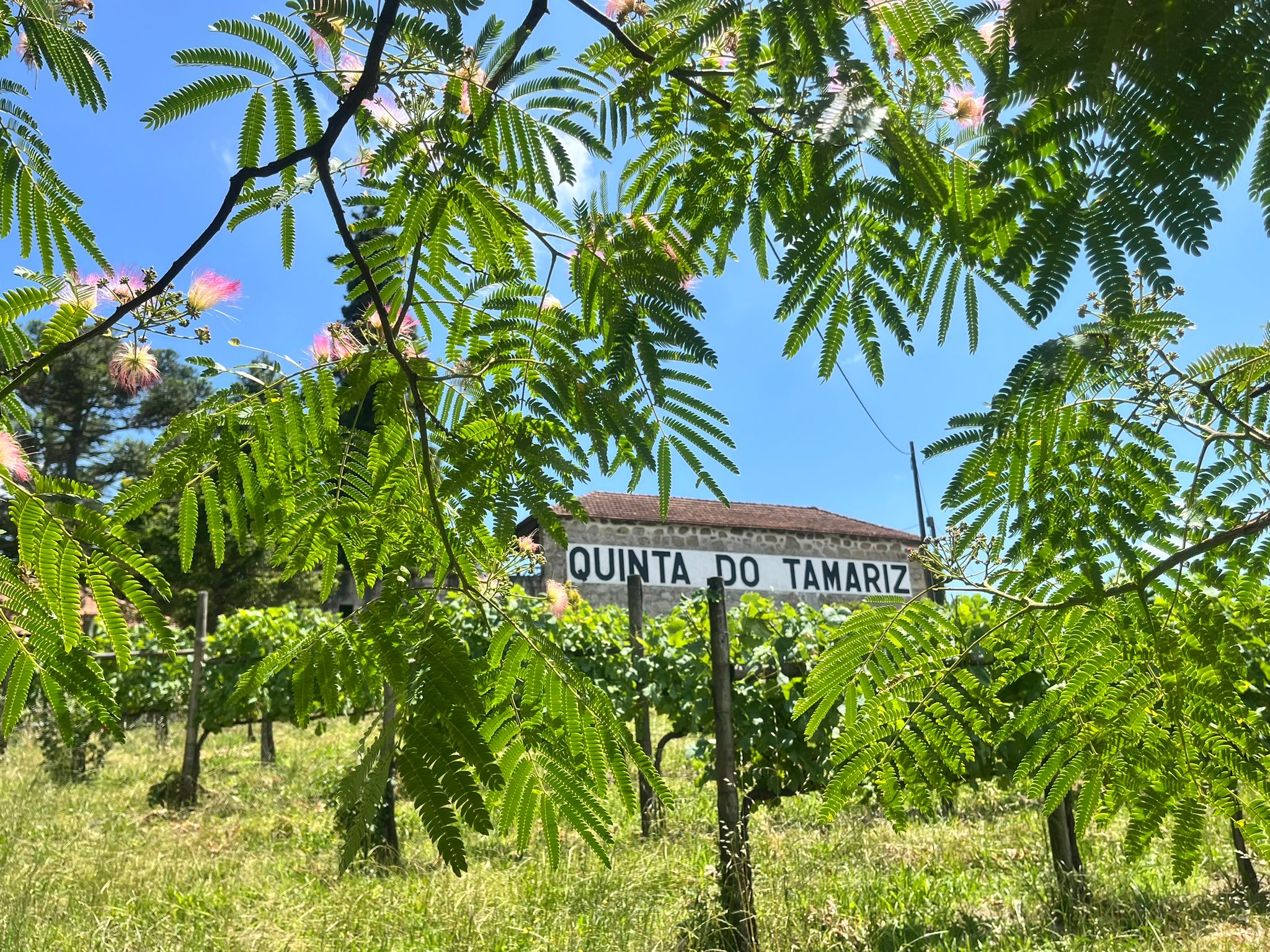 Quinta do Tamariz