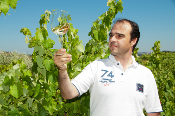 José Repolho - Vinhos Distintos, Lda