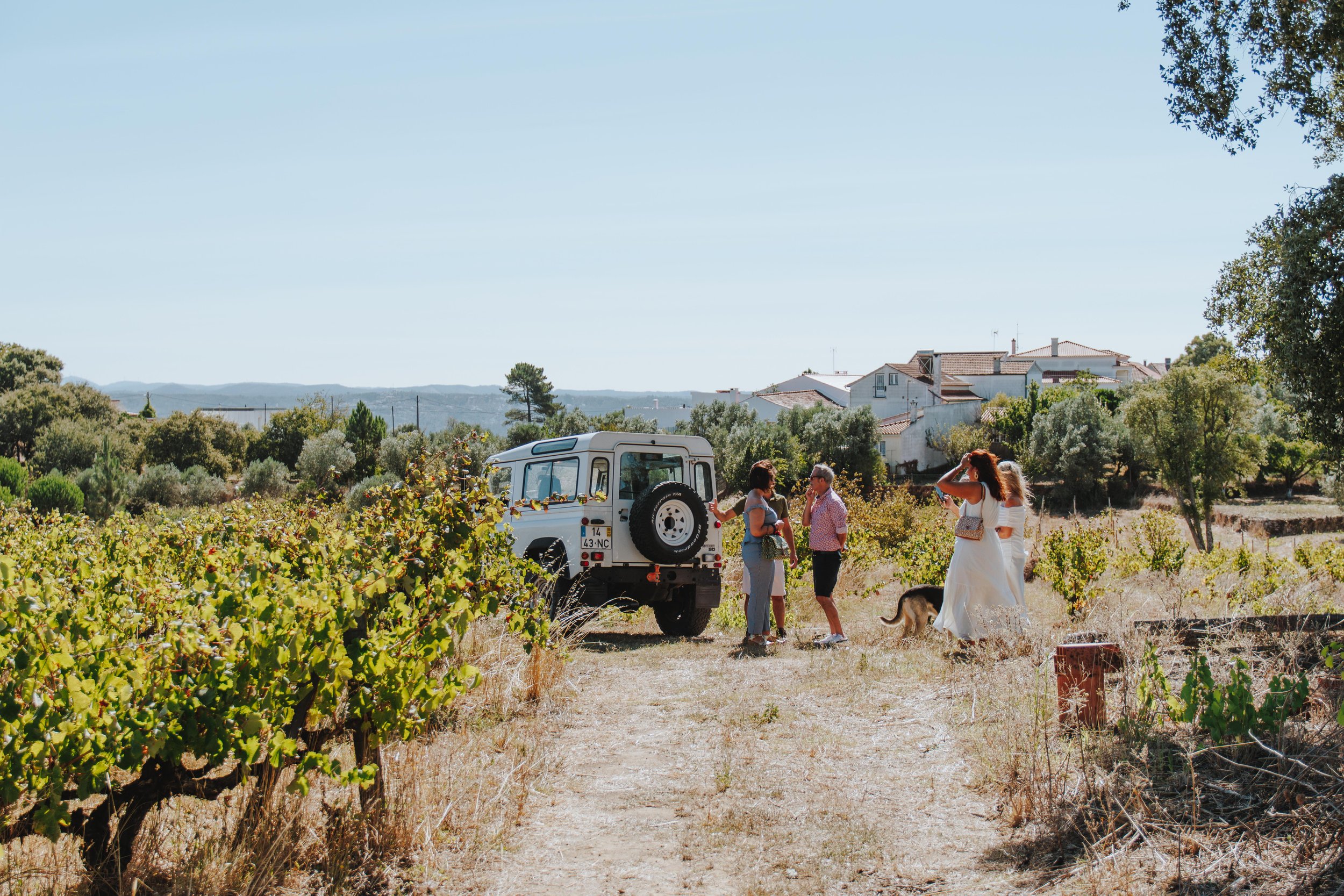 Margaval Vinhos Lda