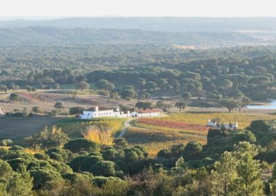 Herdade da Anta de Cima