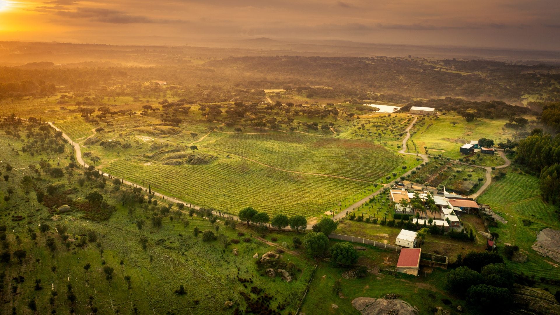 Herdade da Rocha