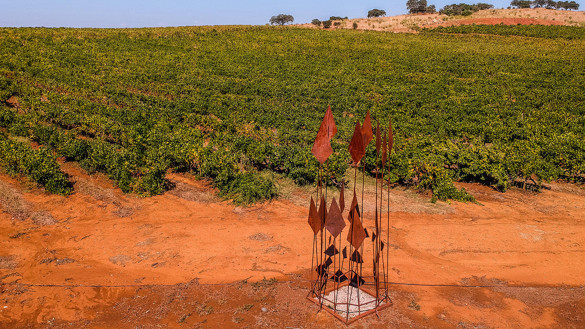 Herdade Grande Wines - António Manuel Baião Lança