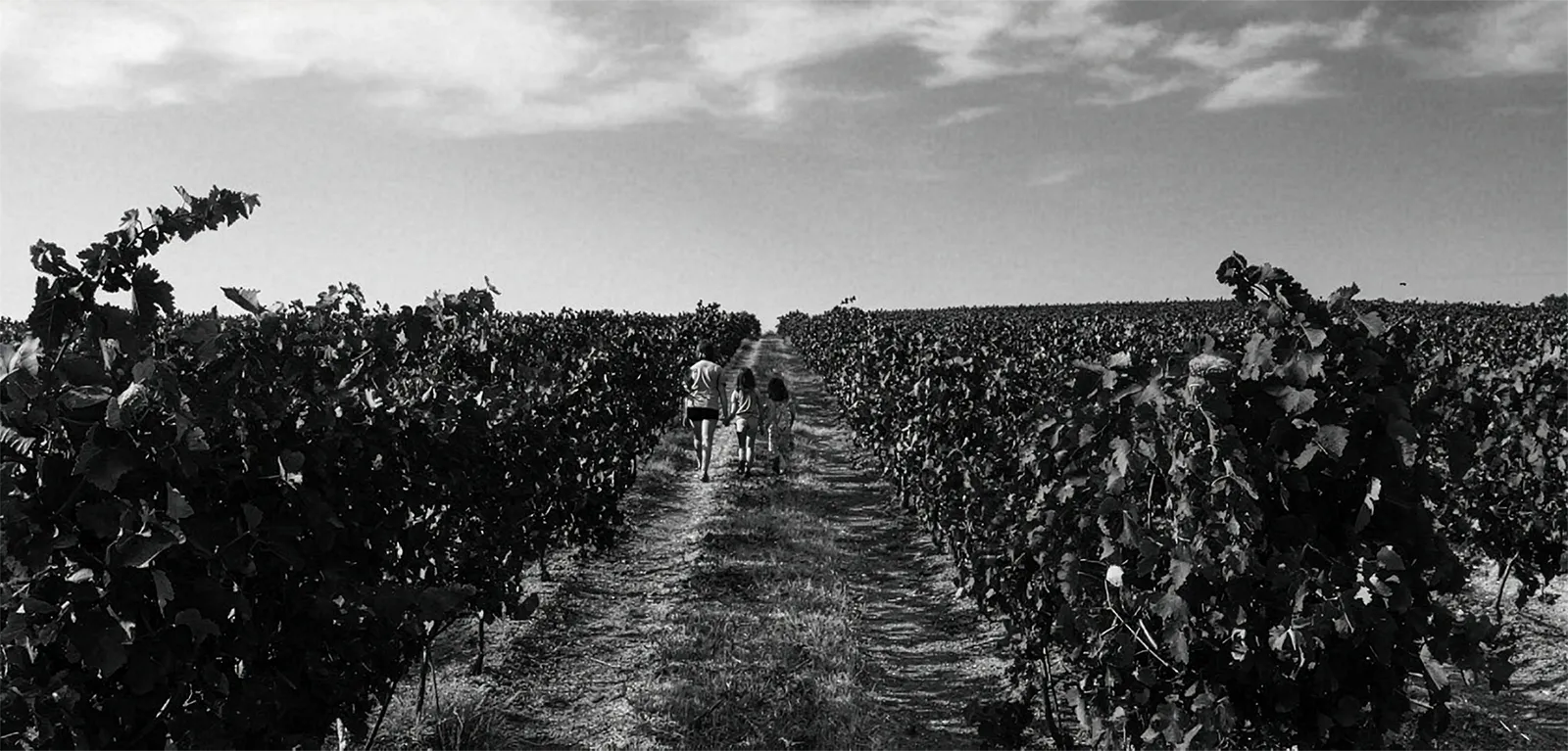 Monge & Filhas - Vinhos de Serpa