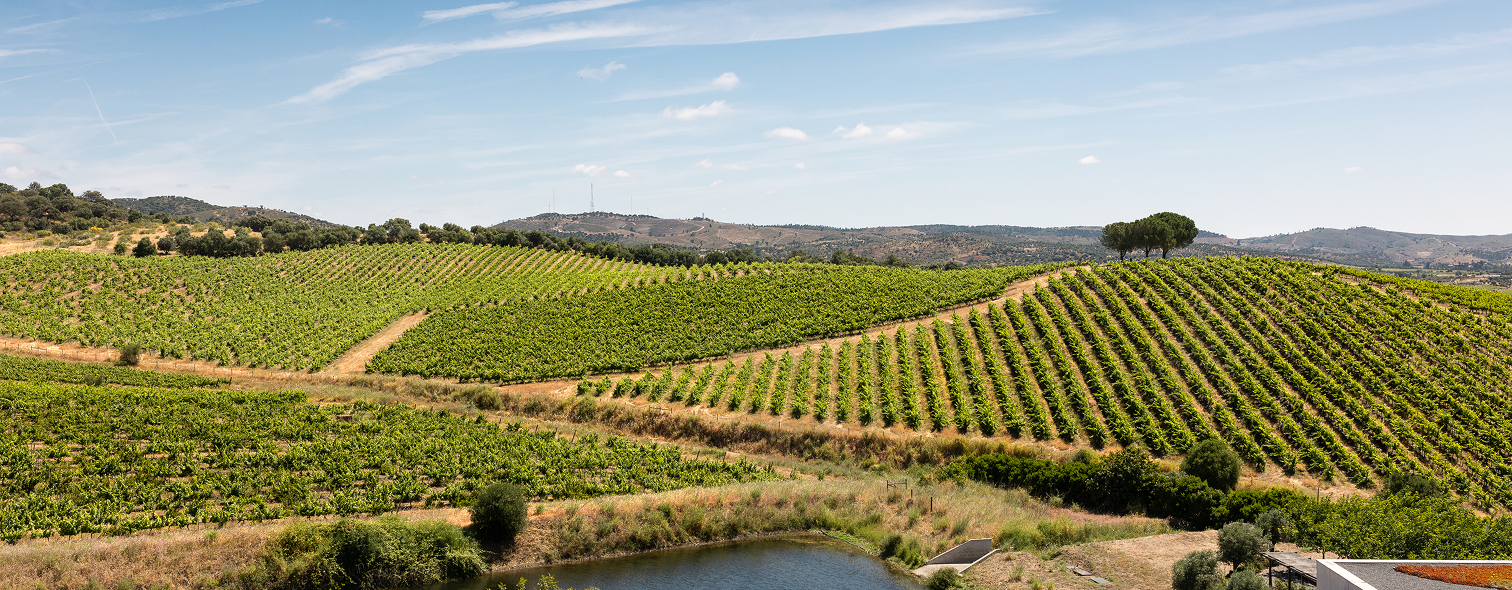 Quinta do Quetzal - Family Estate