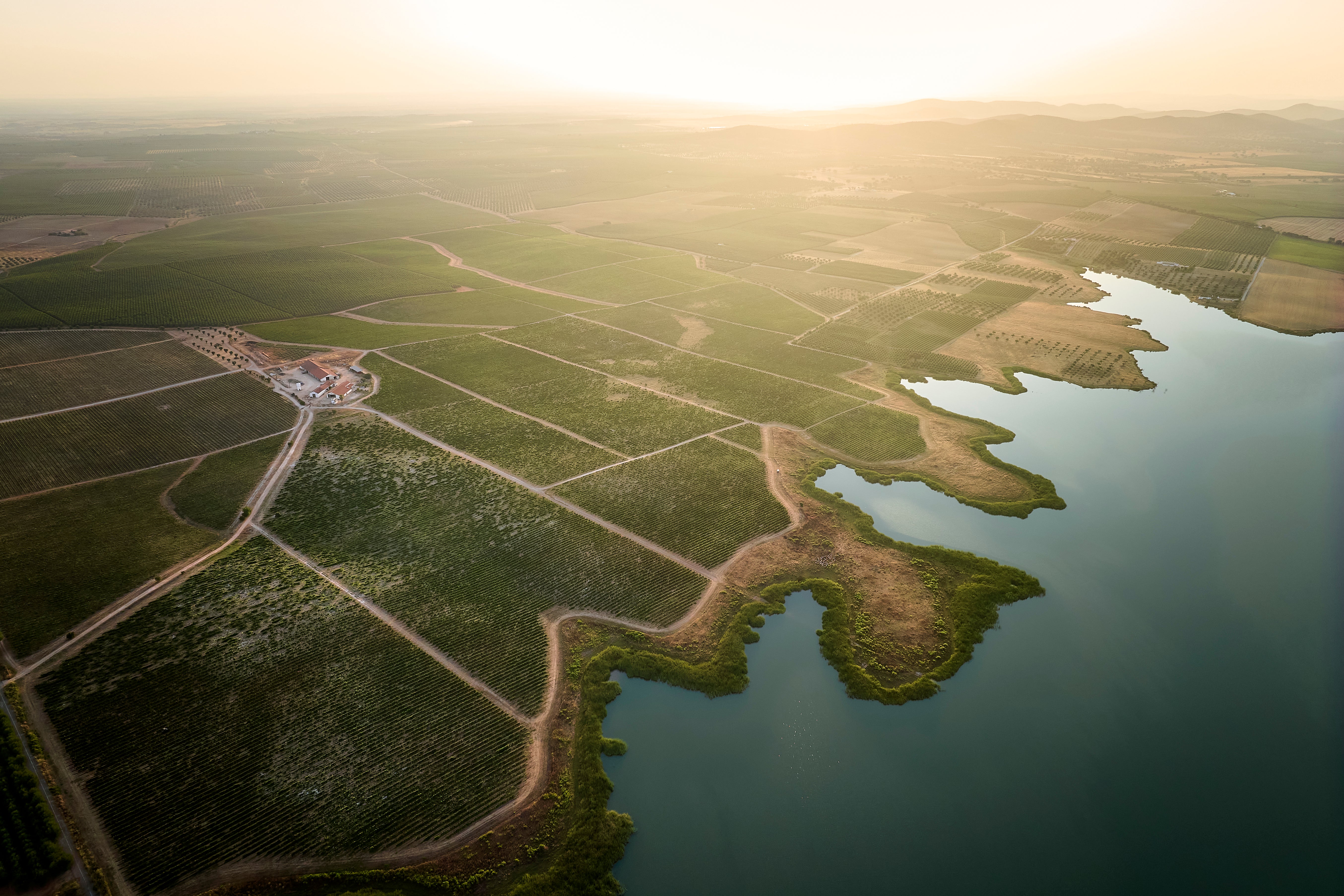 Vinhos Margaça – Soc. Agrícola de Pias, S.A.