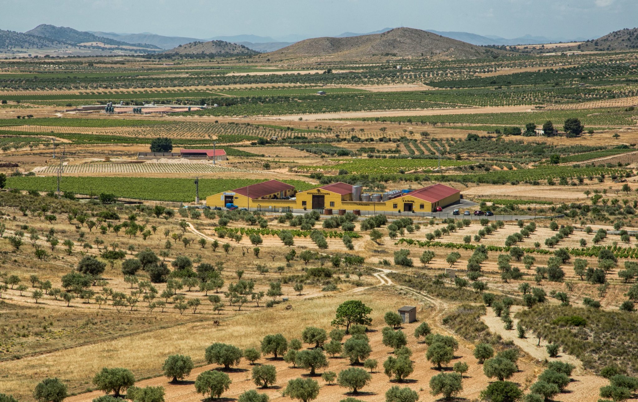 Bodegas Lo Nuevo