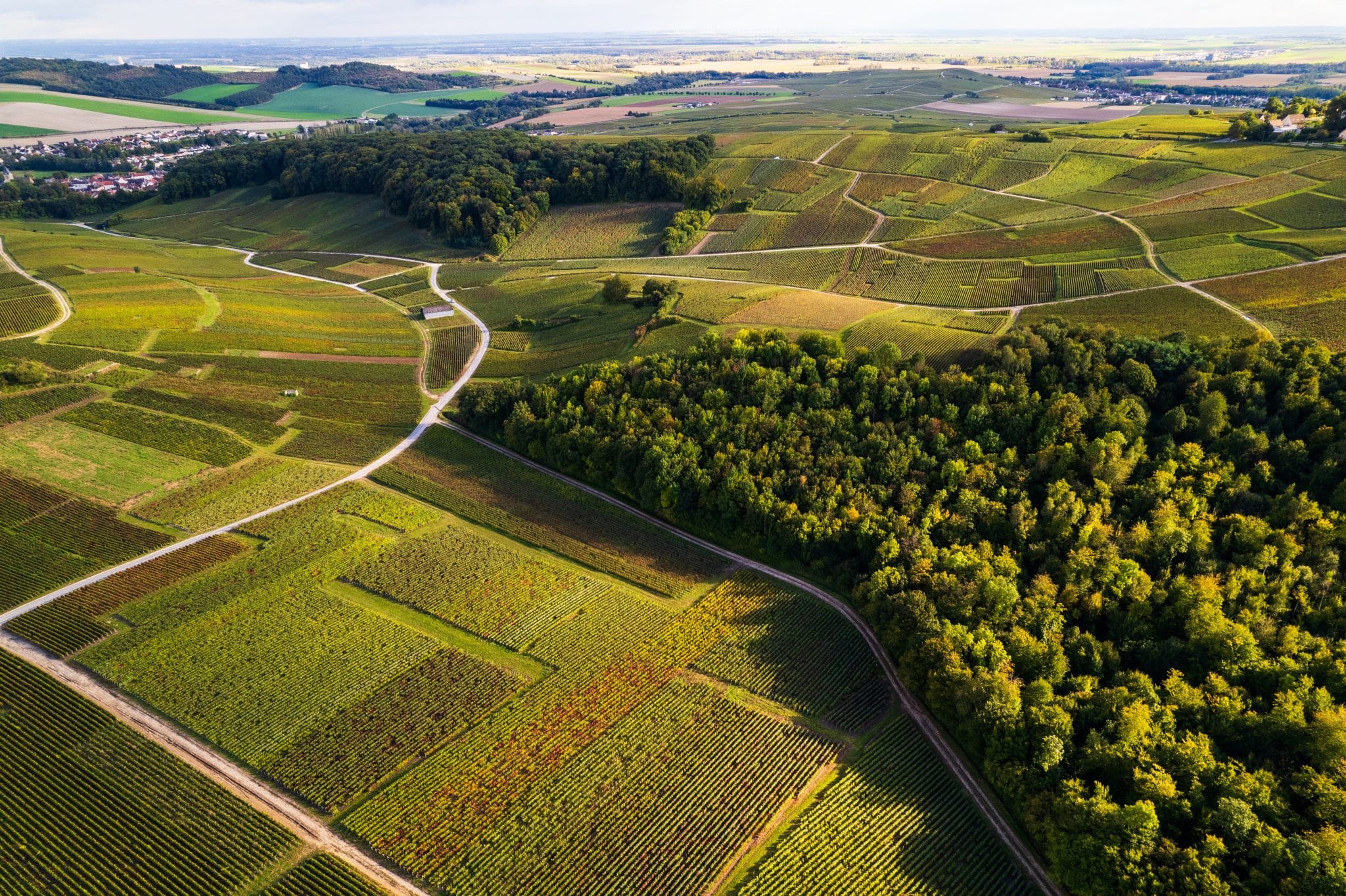 Champagne Gabriel-Pagin Fils