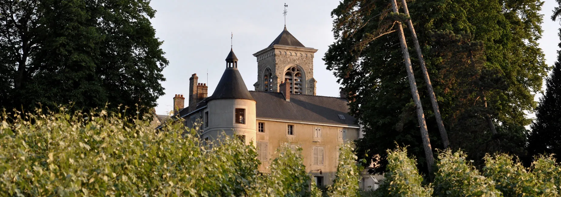 Champagne Le Gallais