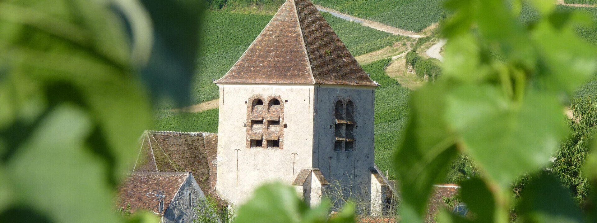 Champagne MG (Marteaux Guillaume)