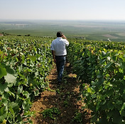 Champagne Michel Gonet