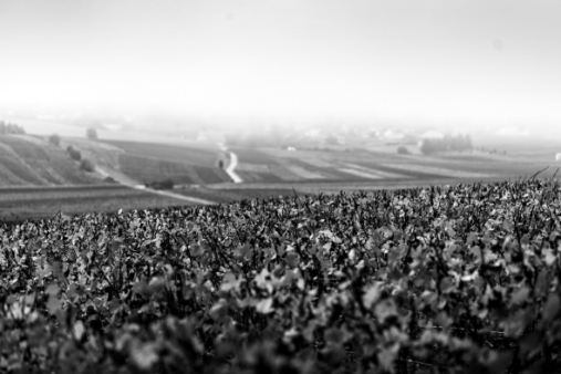 Champagne Patrick Soutiran