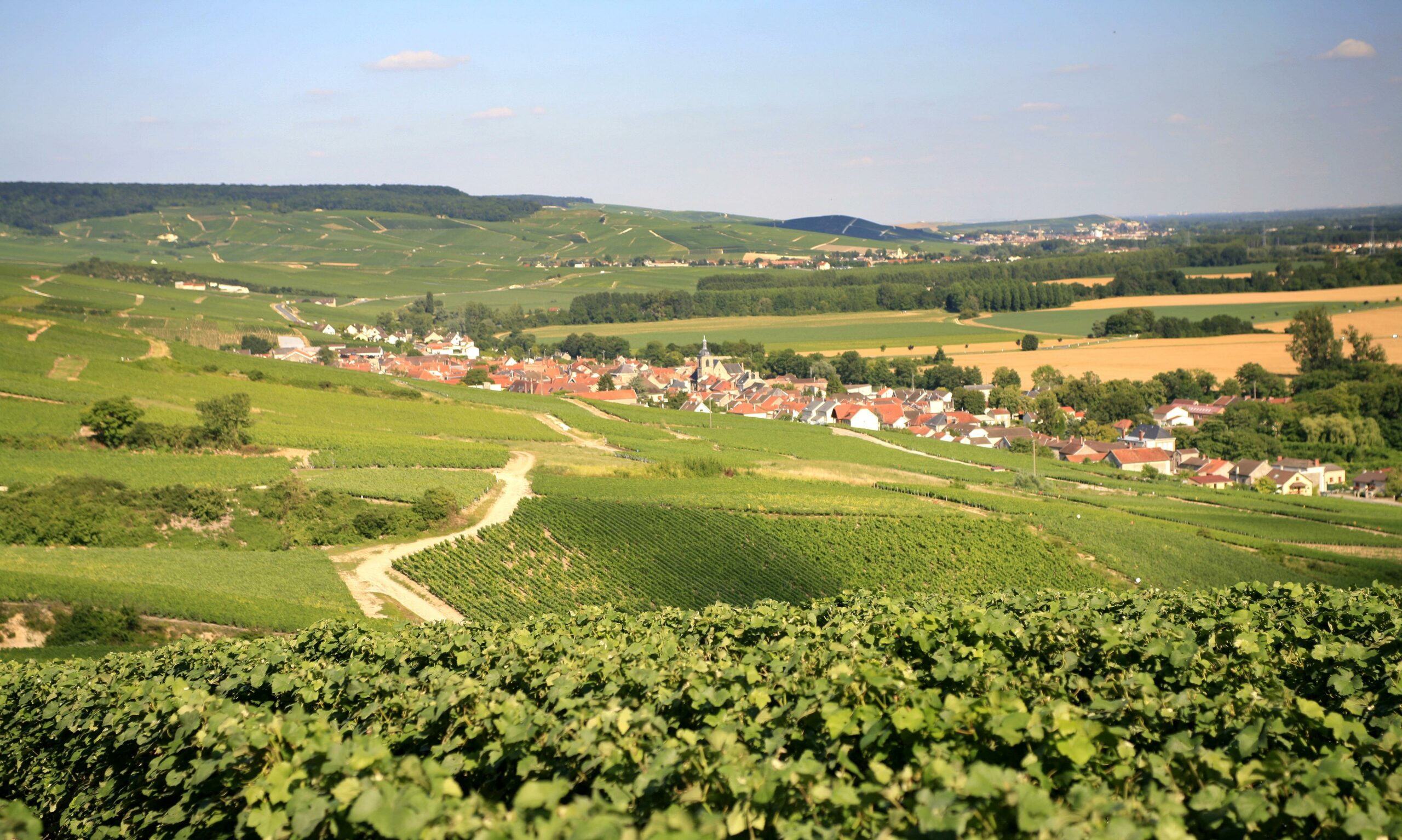 Champagne Vadin-Plateau