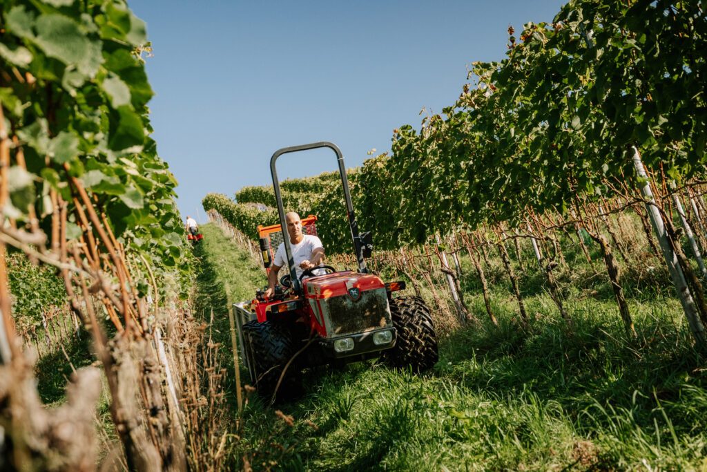 Armin Kienesberger - Biodynamischer Weinbau