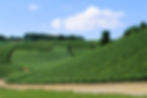 Champagne Jacques Defrance