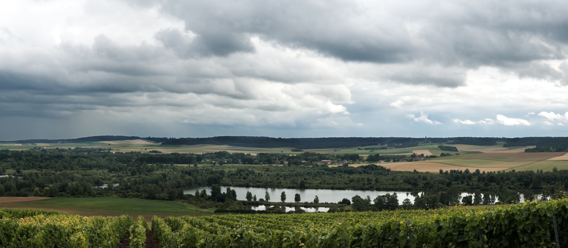 Champagne Piétrement - Renard
