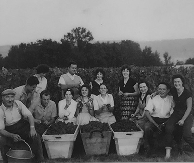 Champagne Doré-Léguillette