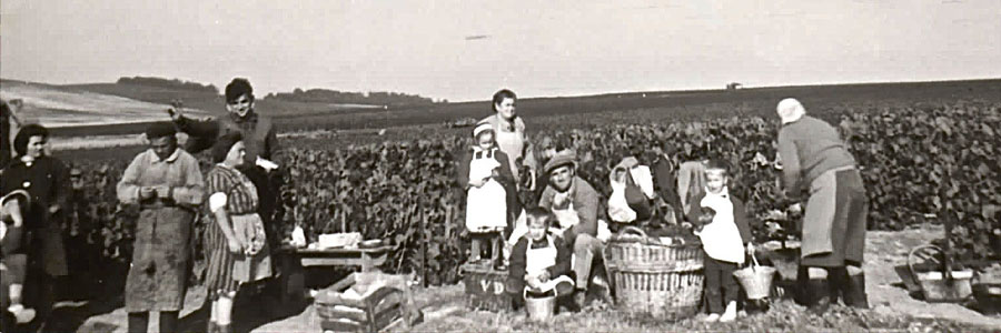 Champagne Maurice Vesselle