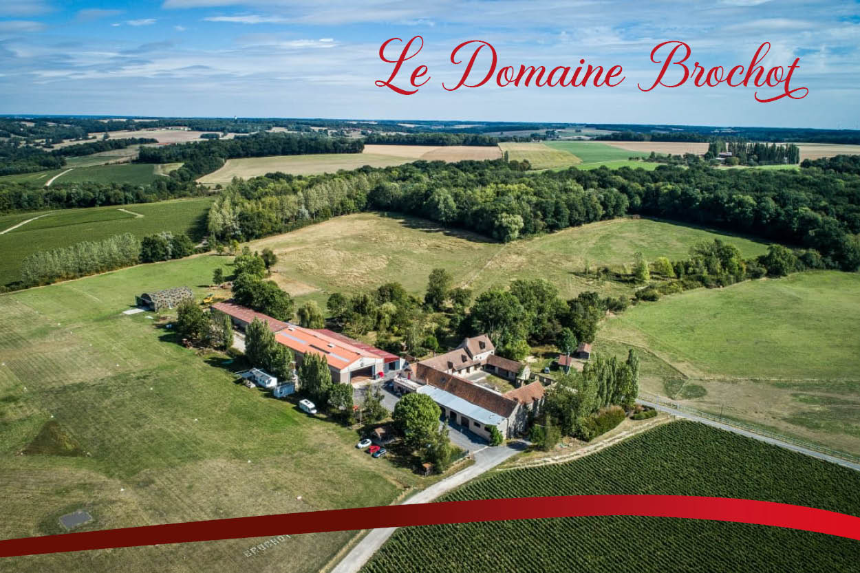 Champagne Jean-Louis PETIT