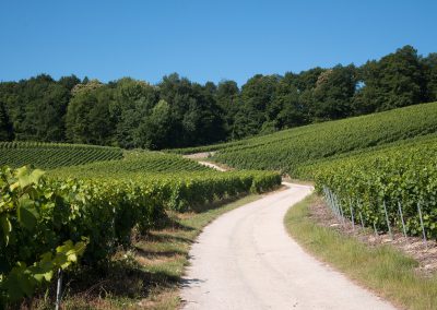 Champagne Bliard-Moriset