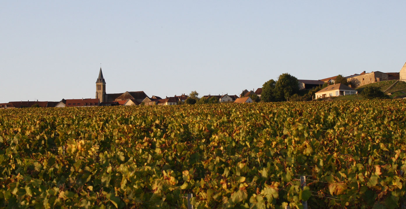Champagne Yves Jacopé