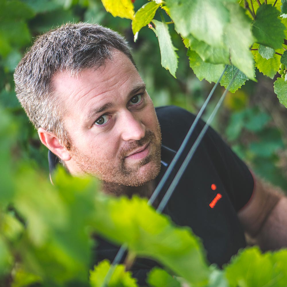 Champagne Xavier Leconte