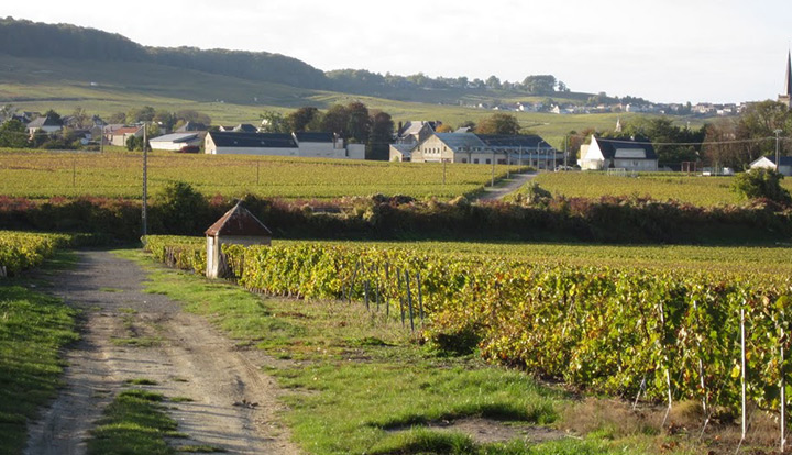 Champagne Claude Corbon