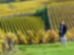 Champagne Quatresols-Gauthier