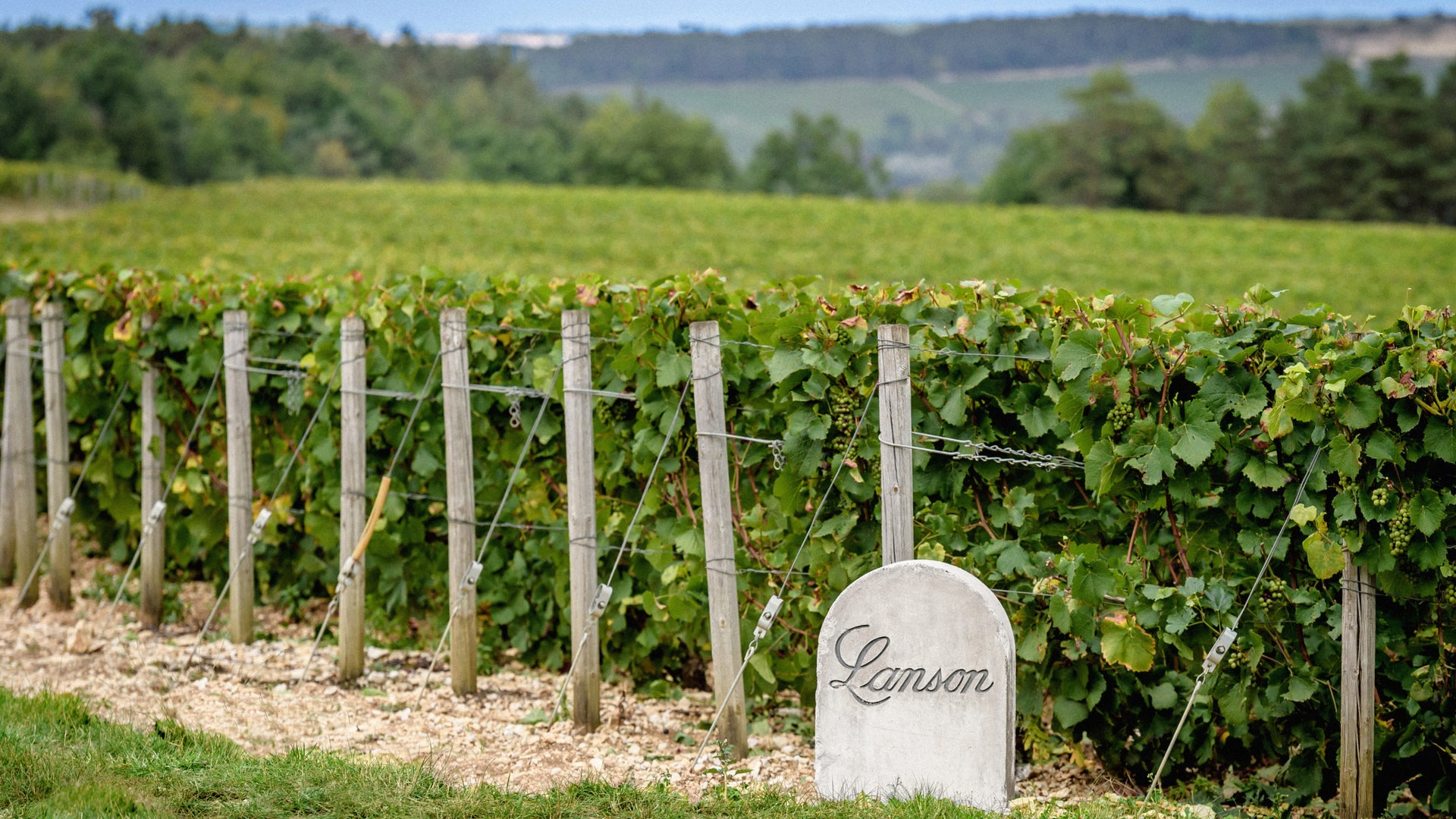 Champagne Lanson