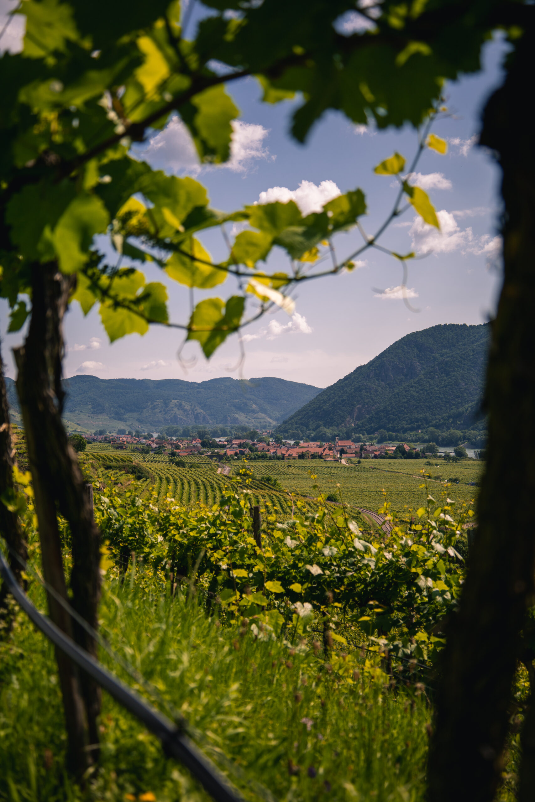 Weingut Rettenbacher
