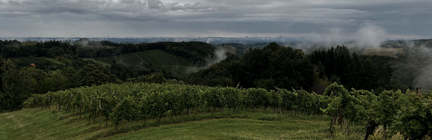 Weingut Amesch