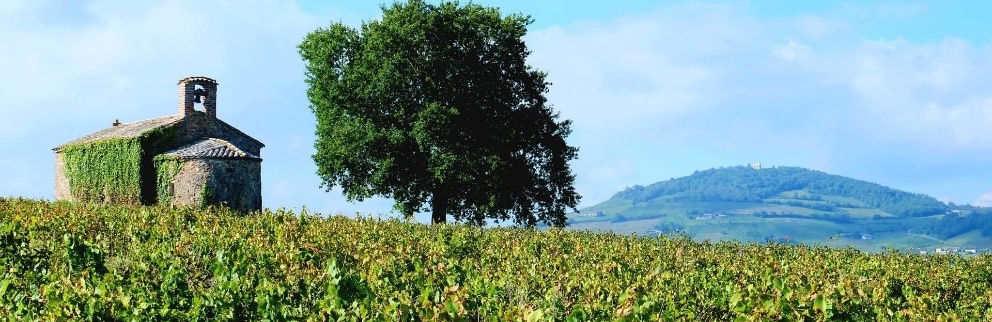 Domaine Mojo
