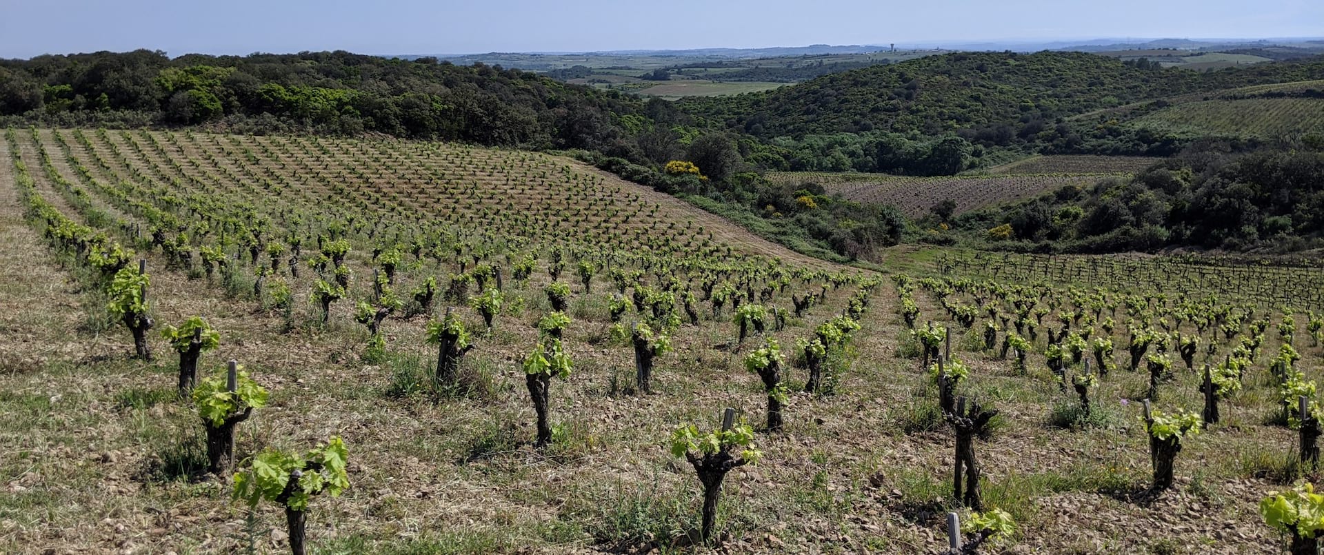 Domaine Montgros