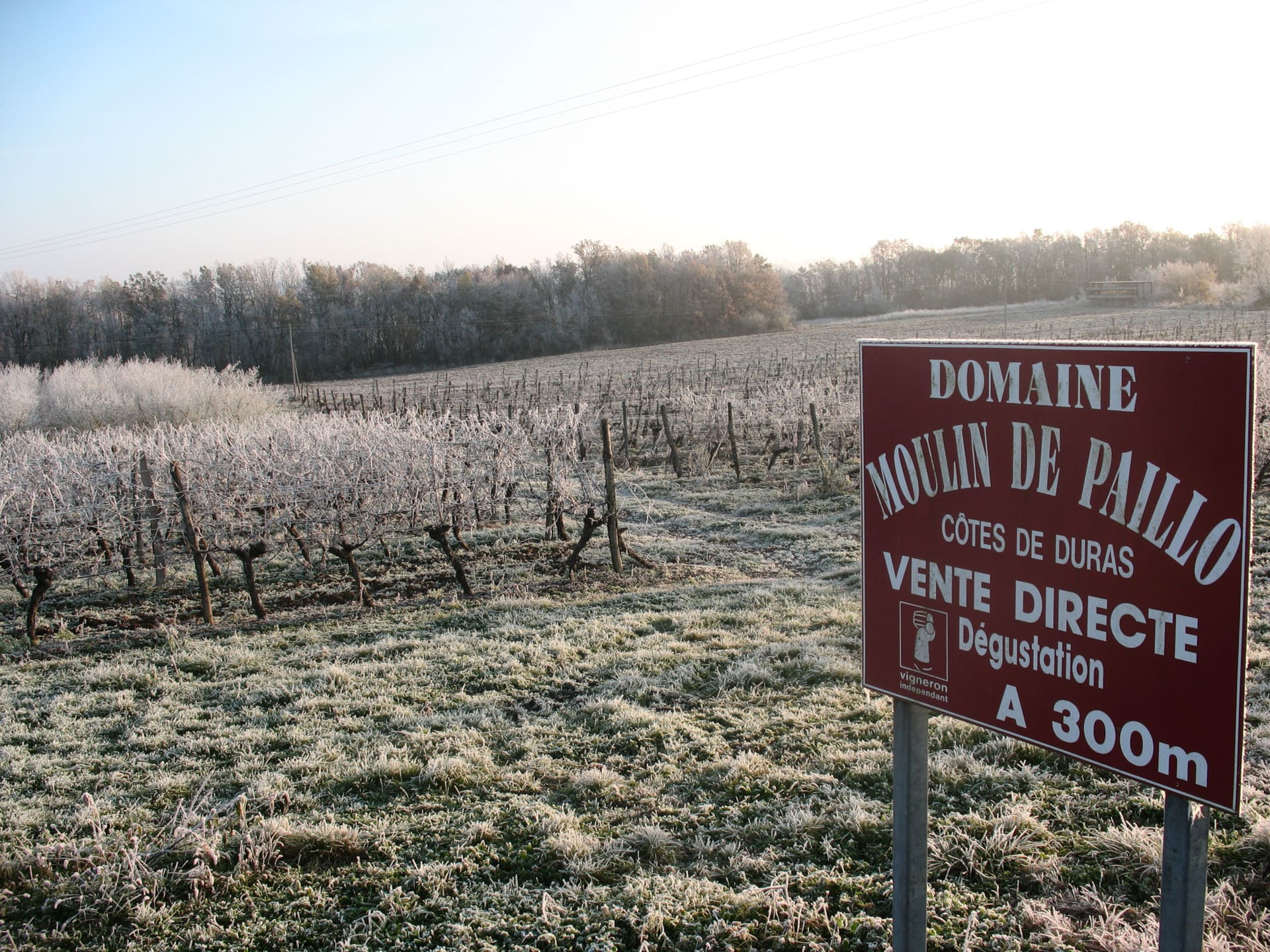 Domaine Moulin de Paillo