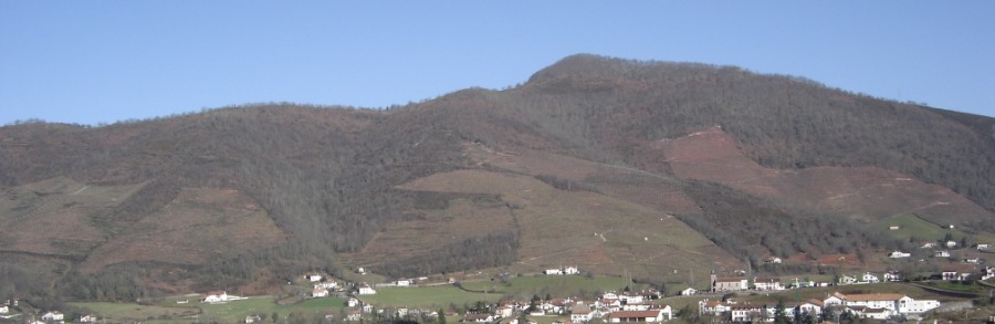 Domaine Mourguy