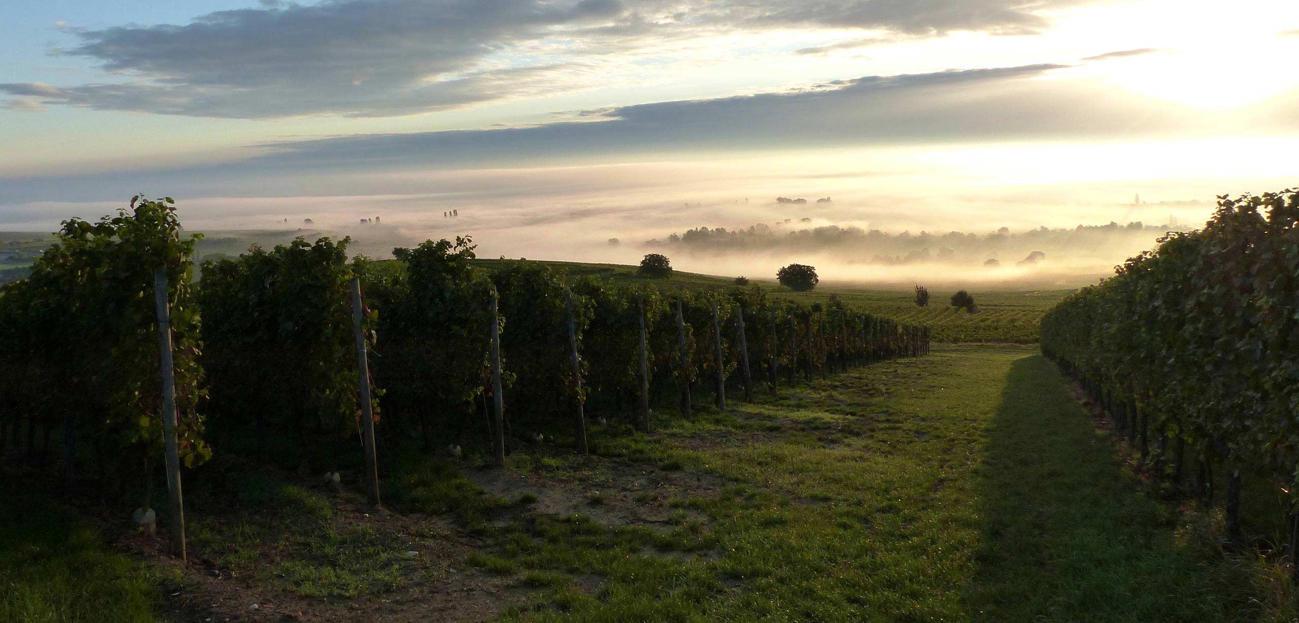Domaine Paul Schneider