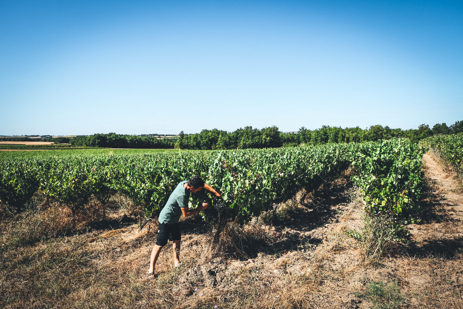 Domaine Philemon