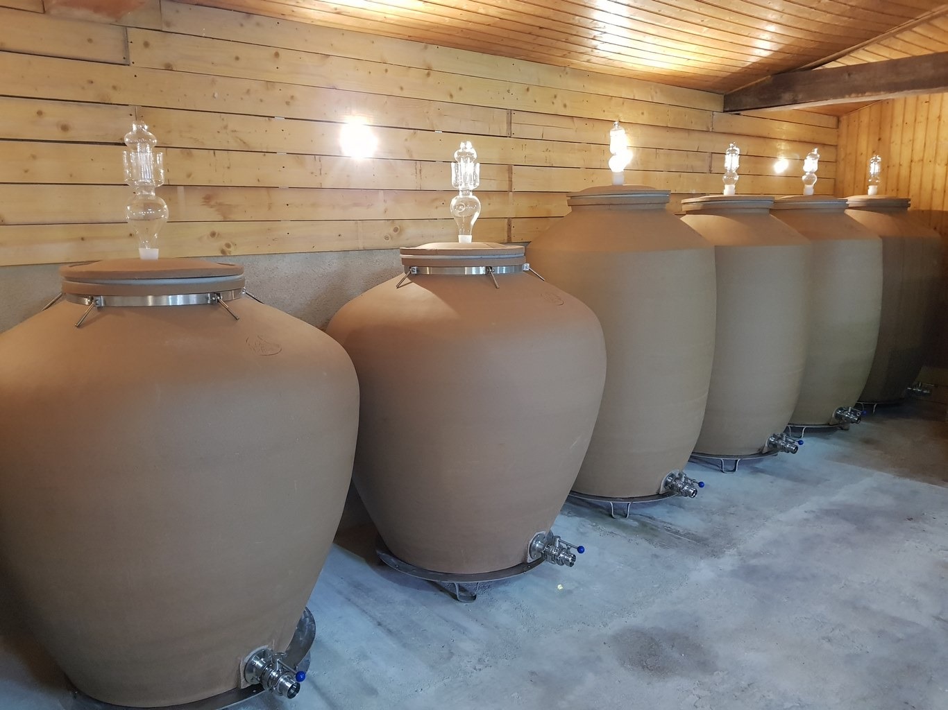 Domaine Regnier David