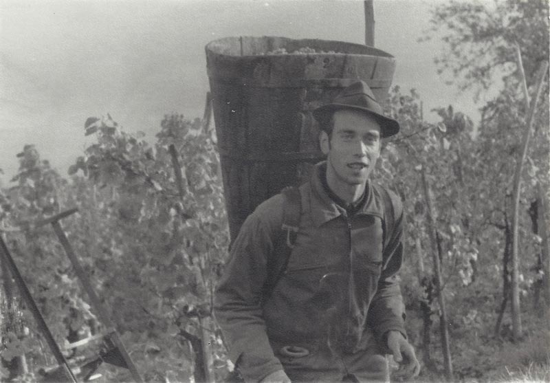 Domaine Rémy Lutz
