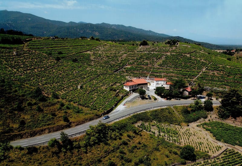 Domaine Reno