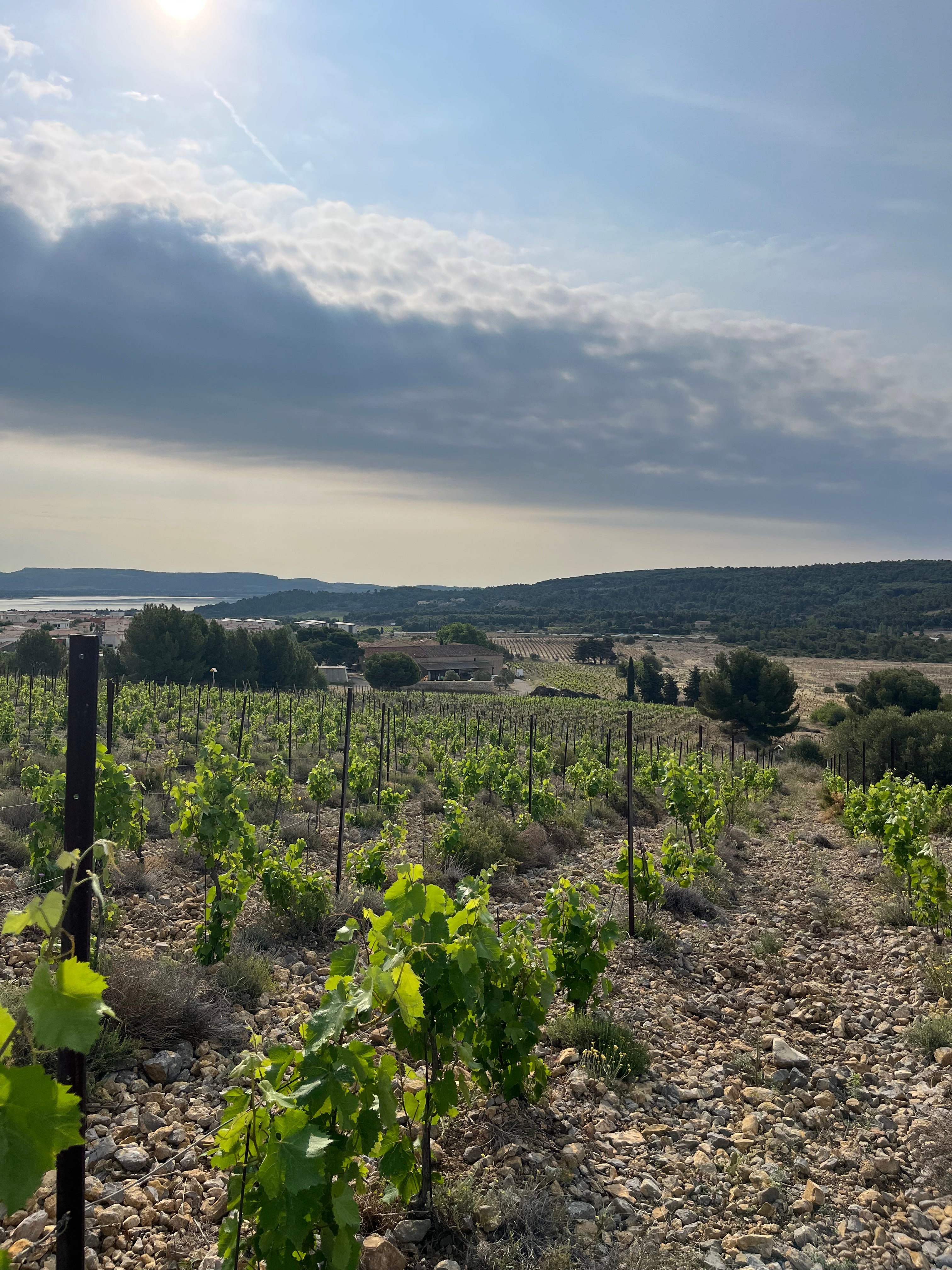 Domaine Reveillon