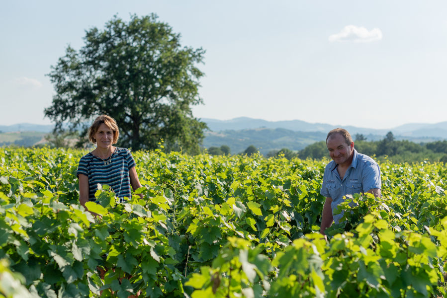 Domaine Riviere