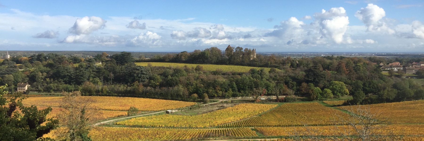 Domaine Rois-Mages