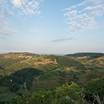 Domaine Rondeau