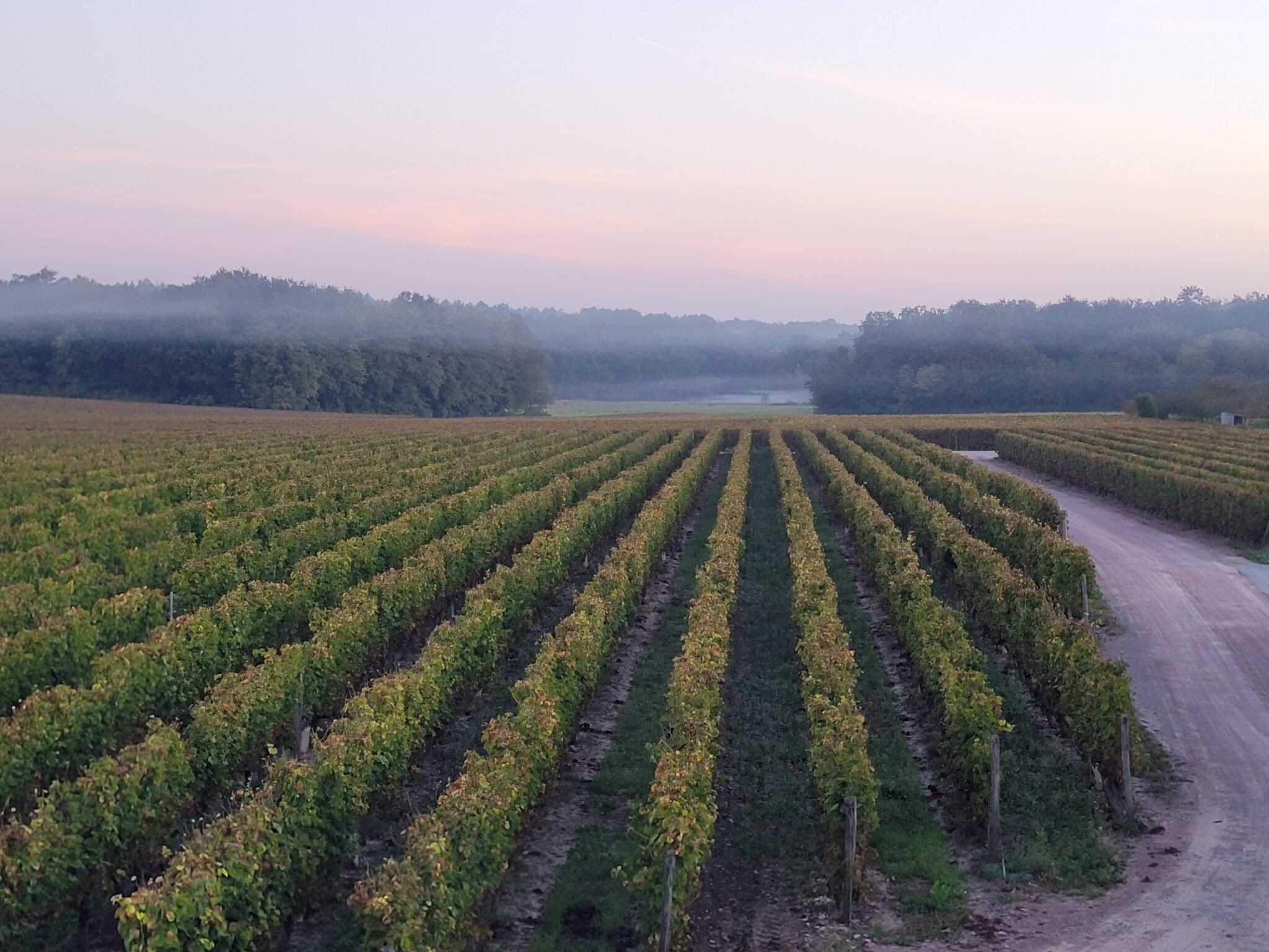 Domaine Roux