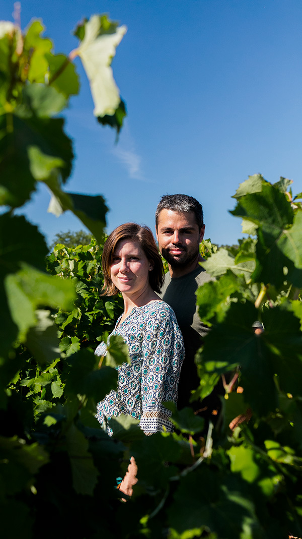 Domaine Sainte Octime