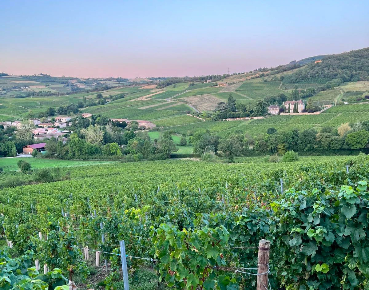 Domaine Sangouard