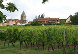 Domaine Schwartz
