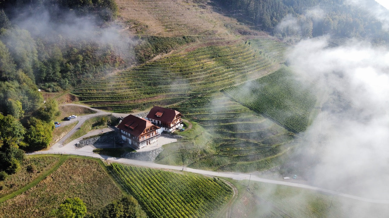 Kegley & Lexer Wein GmbH