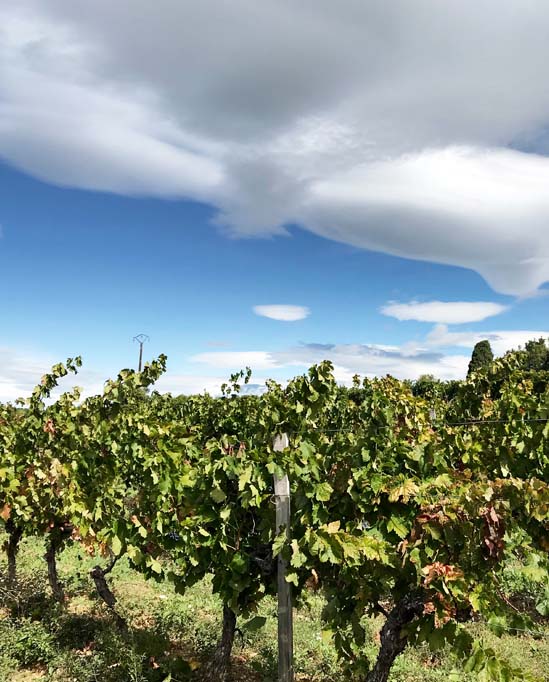 Domaine Souleyrol